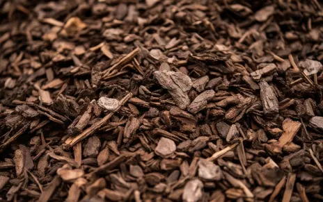 Kiefernrindenmulch in der Nahaufnahme