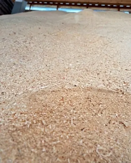 Trockene Sägespäne im Lager von Holzhai